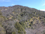 View across valley